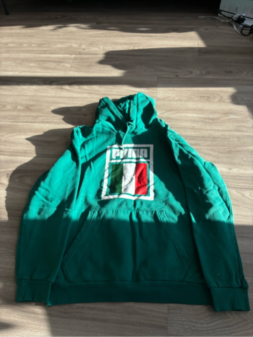 Puma Teal Green Hoodie with Tricolor Chest Emblem
